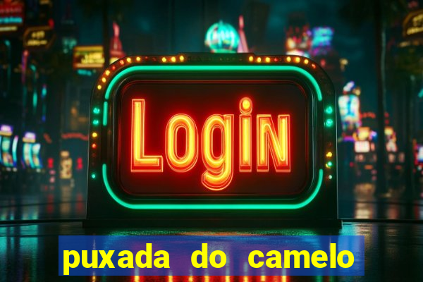 puxada do camelo jogo do bicho